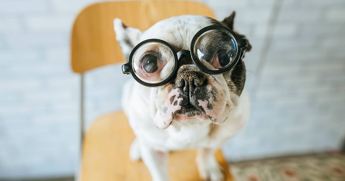 20 Content and Direct Mail Marketing Memes to Kick Off 2022